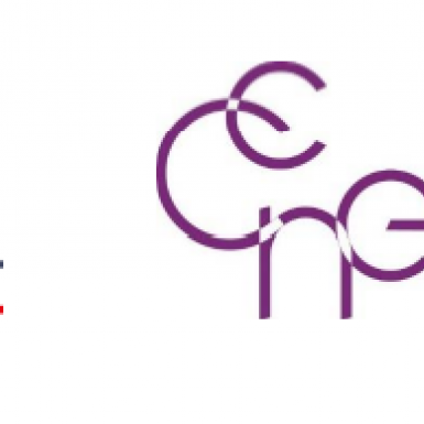 Logos de la défenseure des droits et du CCNE