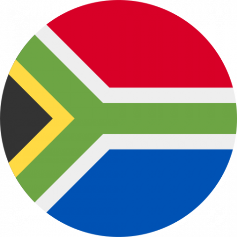 Comité d'éthique d'Afrique du Sud