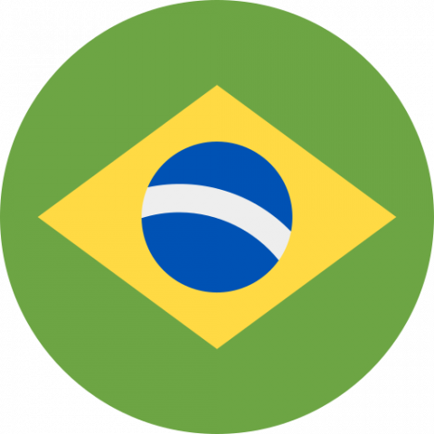Comité d'éthique Brésil