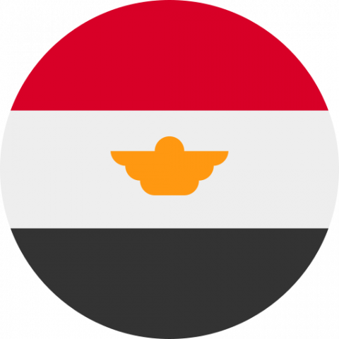 Comité d'éthique Égypte