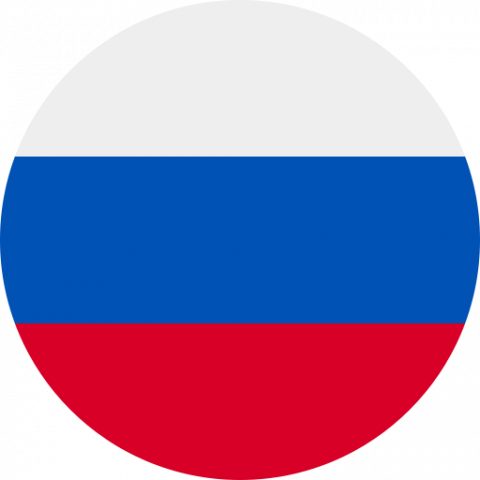 Comité d'éthique Russie