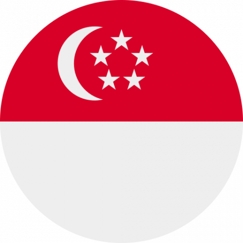 Comité d'éthique Singapour