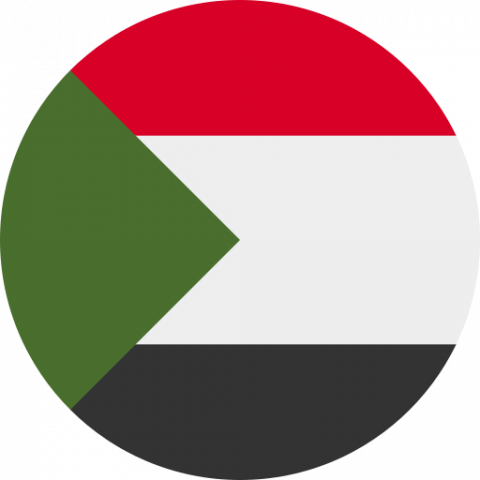 Sudan Ethics Committee